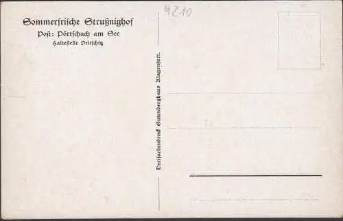 Cour de Strussnig, vue locale, artiste AK, incurvée