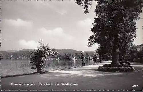 Pörtschach a. Wörthersee, Blumenpromenade, ungelaufen