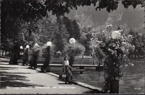 Pörtschach a. Wörthersee, Blumenpromenade, ungelaufen