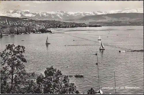 Zürichsee und die Glarneralpen, ungelaufen