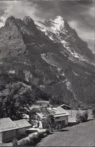 Grindelwald, Uf em Samet avec Eiger, famille Ad. Baumann, couru 1965