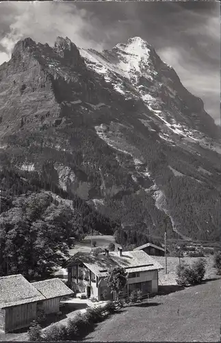 Grindelwald, Uf em Samet mit Eiger, Familie Ad. Baumann, gelaufen 1965