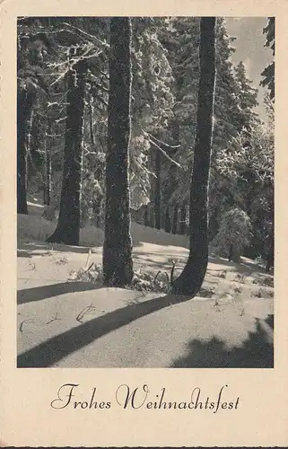 Frohes Weihnachtsfest, Verschneiter Wald, ungelaufen- datiert 1940