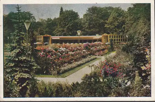 Dresdner Vue d'année 1937, Jardin et maison, Jarnage rose, incurable
