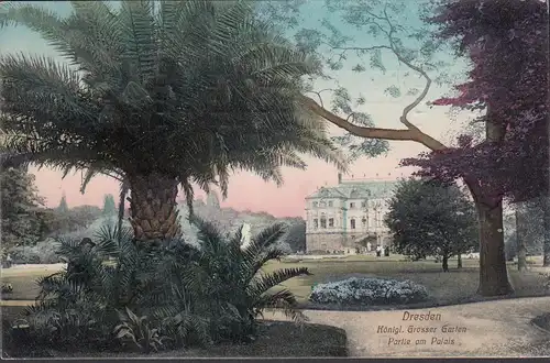 Dresde, Grand Jardin, Groupe de palmiers, Partie au Palais, couru 1911