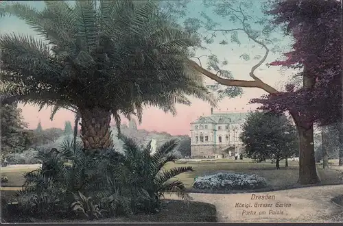 Dresden, Großer Garten, Palmengruppe, Partie am Palais, gelaufen 1911