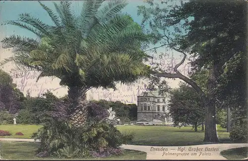 Dresde, Grand Jardin, Groupe de palmiers au Palais, couru en 1917