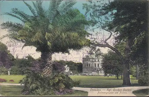 Dresden, Großer Garten, Palmengruppe am Palais, gelaufen 1917