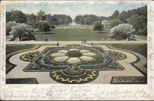 Dresde, parterre fleuri dans le grand jardin, couru en 1904