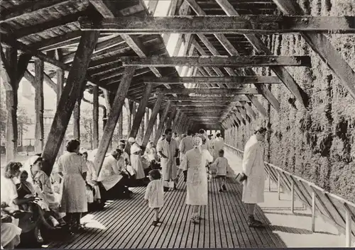 Salons de bains, entraînement à la graduation, inhalation en plein air, incursion