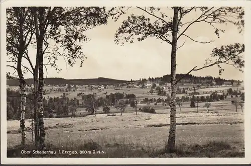 Ober Schellerhau, Panoramaansicht, ungelaufen