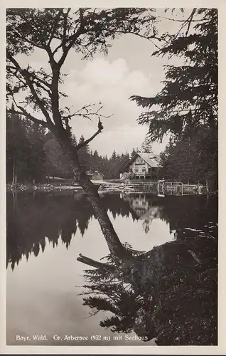 Bayrich Eibenstein, Grand lac Arber avec Maison de mer, Rila, incurvée