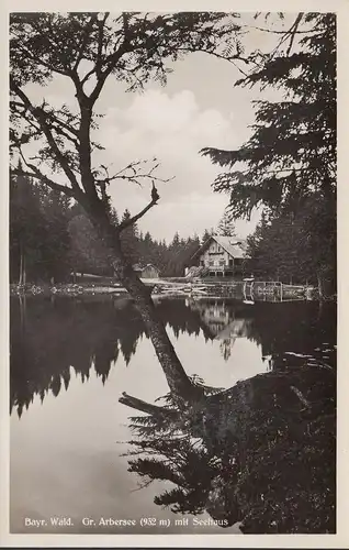 Bayrisch Eibenstein, Großer Arbersee mit Seehaus, Rila, ungelaufen