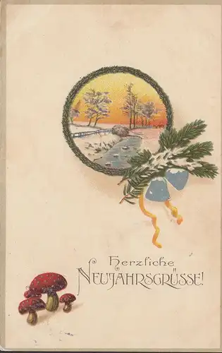 Salutations du Nouvel An, paysage hivernal, couru 1920