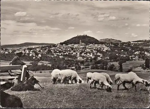 Homberg, Stadtansicht, Schäfer mit Schafen, ungelaufen