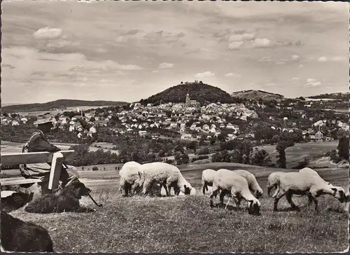 Homberg, vue de la ville, bergers avec moutons, non-fuyés