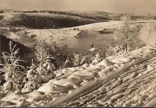 Lauscha avec des pinsons en hiver, en cours d'exécution, 197 ?