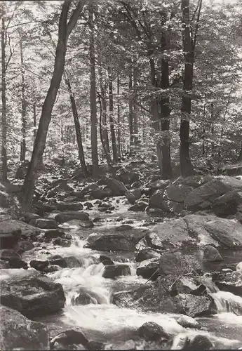 Ilsenburg, Ilsefalle, gelaufen 1978