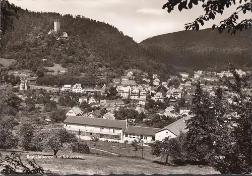 Bad Liebenzell, Stadtansicht, gelaufen 1965