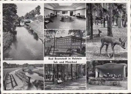 Bad Bramstedt, Trinkhalle, Kurhaus, Verlobungsweg, Pavillon, gelaufen 1959