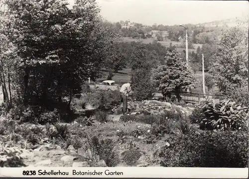 Schellerhau, Botanischer Garten, ungelaufen