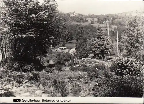 Schellerhau, Jardin botanique, incurable
