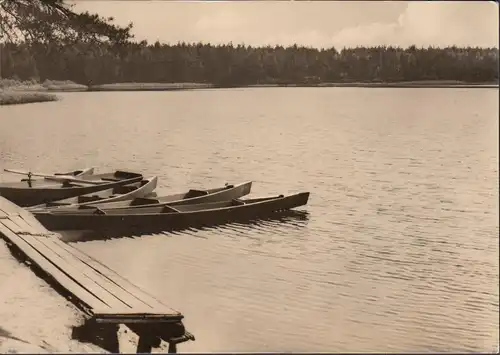 Weißwasser, Braunsteich, Ruderboote, ungelaufen