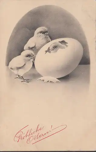 Fröhliche Ostern, 3 Küken, gelaufen 1913