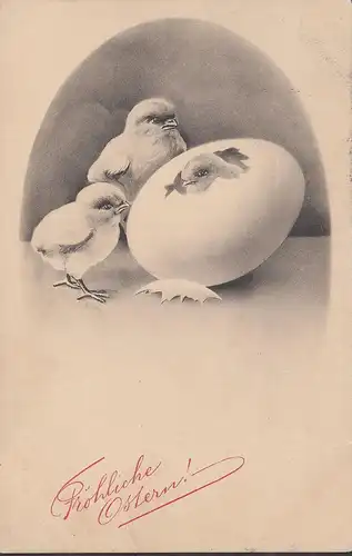 Joyeux Pâques, 3 poussins, couru en 1913