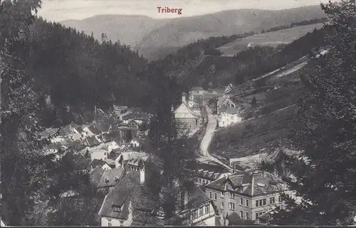 Triberg, Stadtansicht, gelaufen 1919