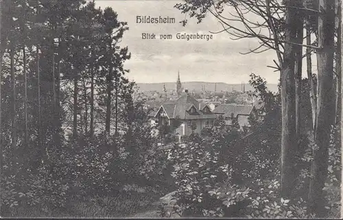 Hildesheim, vue du Galgenberg, couru en 1906