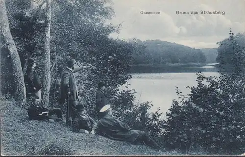 Gruss aus Strausberg, Gamensee, gelaufen 1910