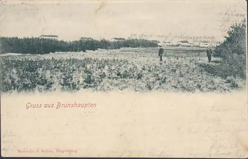 Gruss aus Brunshaupten, gelaufen 1901