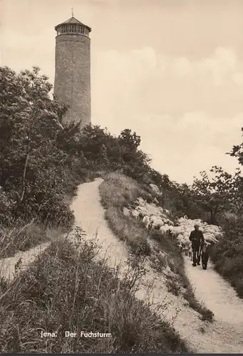 Jena, Der Fuchsturm, Schäfer mit Schafen, ungelaufen