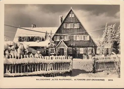 Altenberg, Schunke Waldschunk Ancien nid de chenilles en hiver, incurvé