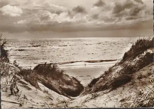 Sylt, vue sur les dunes et plage, couru