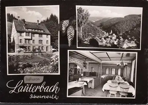Lauterbach, Gasthaus zum Waldhorn, Stadtansicht, gelaufen 1968