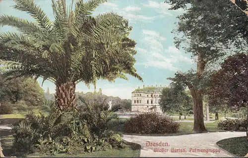 Dresden, Großer Garten, Palmengruppe, gelaufen 1911