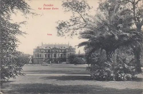 Dresden, Großer Garten, Palais, Palmen, gelaufen 1909