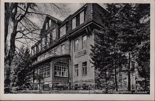 Sapin dans la résine, maison de guérison Tanneck, couru en 1955