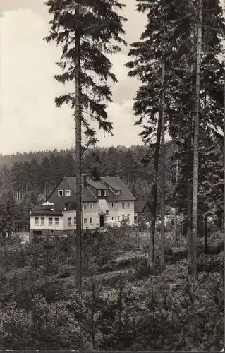 Tambach-Dietharz, Waldbaude, gelaufen 1960