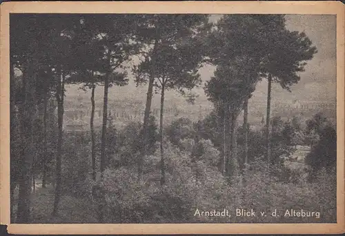 Arnstadt, Blick von der Alteburg, ungelaufen