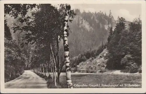 Olbenau, Natzschungtal mit Stößerfelsen, gelaufen 1956