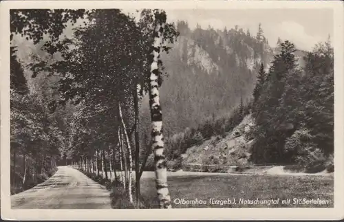 Olbenau, vallée de la Natzschuchte avec des rochers de Schößer, couru en 1956