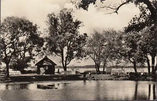 Neustrelitz, Am Zierker See, gelaufen 1959