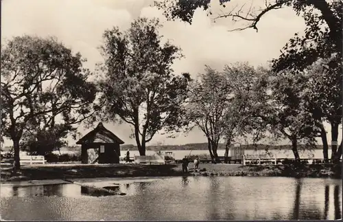 Neustrelitz, Au lac de Zierker, couru en 1959