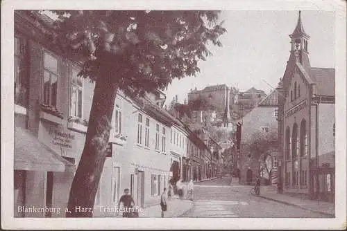 AK Blankenburg, Tränkestraße, Gartenbaubetrieb, ungelaufen