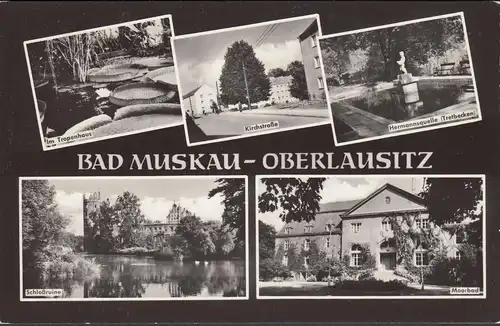 Bad Muskau, Tropenhaus, Kirchstrasse, Hermannsquelle, Moorbad, ungelaufen