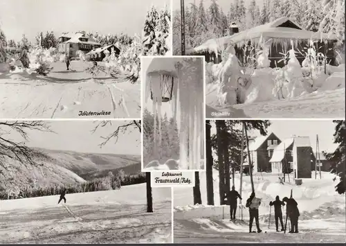 Forêt de femmes, prairie idiote, chalet de ski, incurable