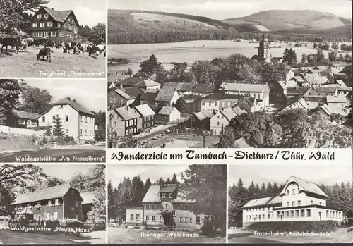 Tambach-Dietharz, hôtel de montagne, maison de vacances, auberge de forêt, boiseries, non-fuit